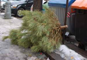 Svoz vánočních stromků 5.1., 12.1., 19.1., 26.1. 1