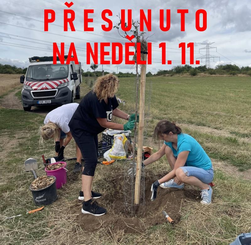 Péče o vysazené stromy - přesun akce na 1.11. 1